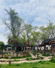 无锡阳山桃花源景区20