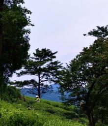 下岩贝村4