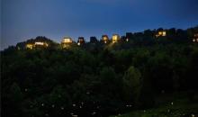 美粲┗鸪嫔态夜公园2