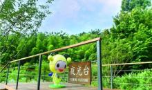 美粲┗鸪嫔态夜公园1
