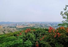 仁皇山风景区3