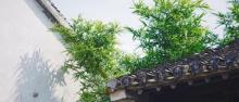 巴城老街16