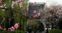 蠡湖中央公园5