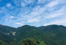 东白山27