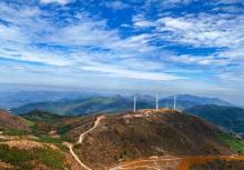东白山16