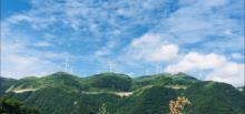 东白山28