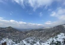 东白山24