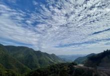 东白山22