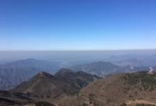 东白山8