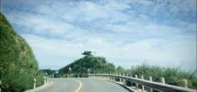 东白山30
