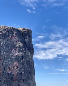 东白山20