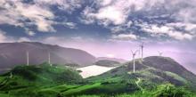 东白山26