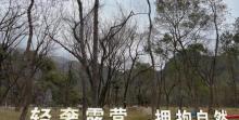 永嘉采虹湾景区12