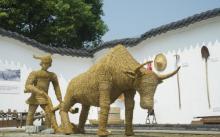 半岛田园13