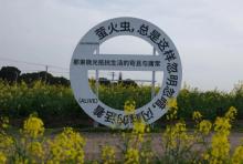 半岛田园3