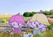 半岛田园17