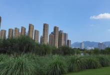 台州市永宁公园5