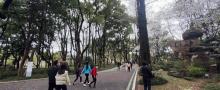 充山隐秀3