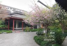 杭州孔庙19