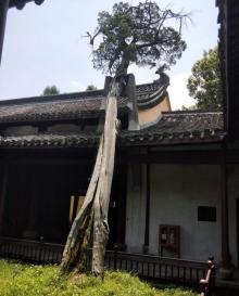 太平天国侍王府6