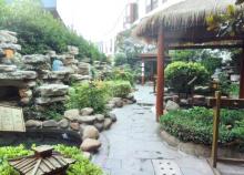 书香世家树山温泉1