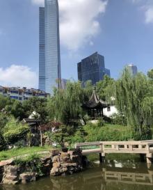薛家花园8