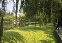 浙江大学(华家池校区)-植物园6