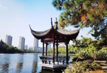 浙江大学(华家池校区)-植物园7