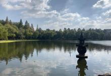 浙江大学(华家池校区)-植物园13
