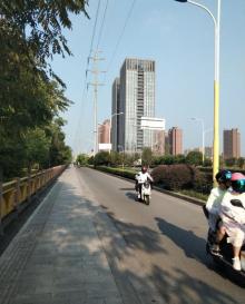 西湖龙井山园7