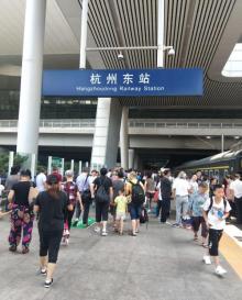 西湖龙井山园6