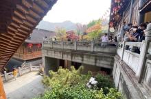 西湖龙井山园4