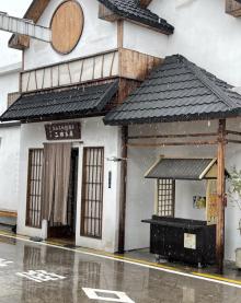 田野和季风4
