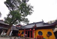 下天竺寺14