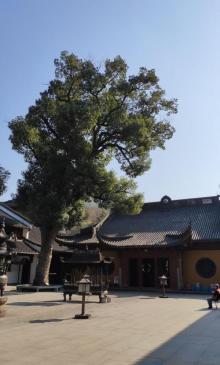 下天竺寺22