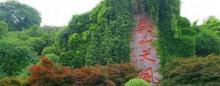 吴山天风20