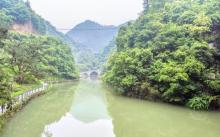 香榧森林公园4
