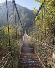 香榧森林公园6