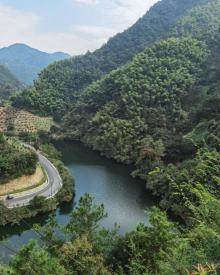 香榧森林公园7