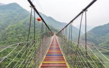 香榧森林公园2