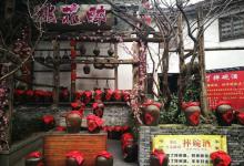 宋城-祝家庄4