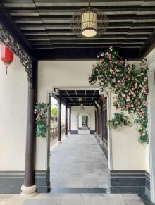 嘉善越里19