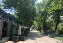 大兜路历史文化街区22