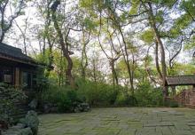 玉皇山景区13
