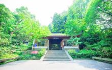玉皇山景区4