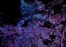 山海经奇英雄之路沉浸式奇幻秀10