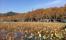 北山街历史文化街区22
