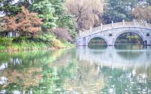 杨公堤11