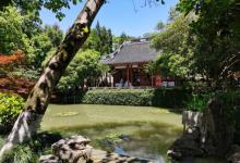 岳飞墓15