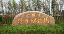 台州湾野生动物园4